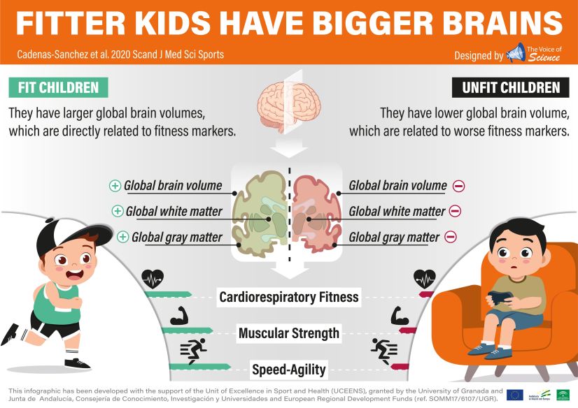 Fitter kids have bigger brains